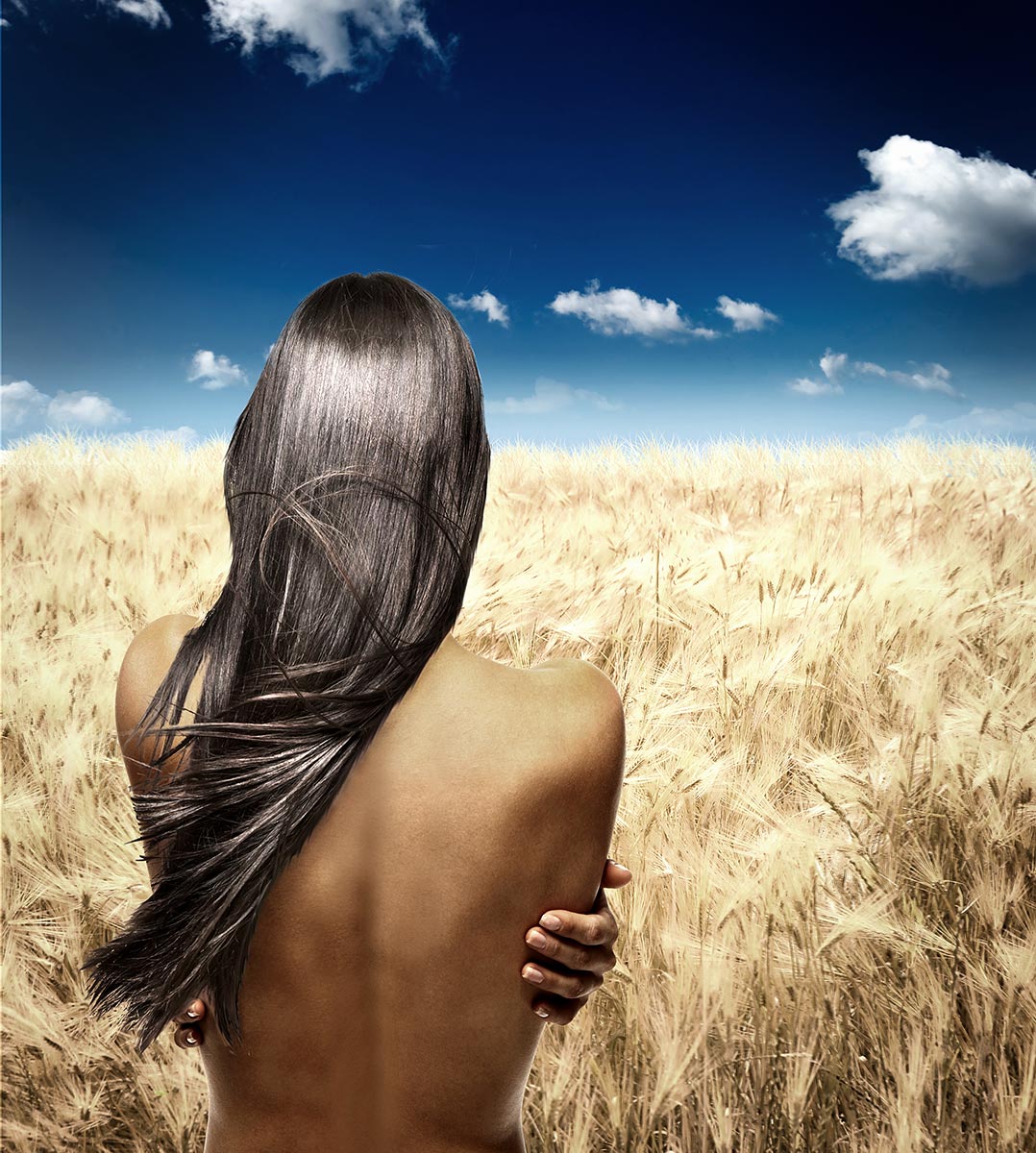 Hair and beauty shot in wheat field : Studio : Copenhagen Design Demo
